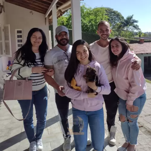 Clientes Felizes
