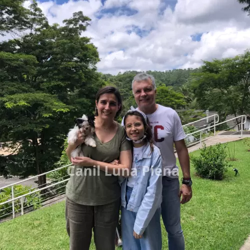 Clientes Felizes