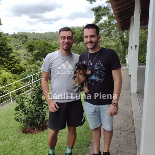 Clientes Felizes