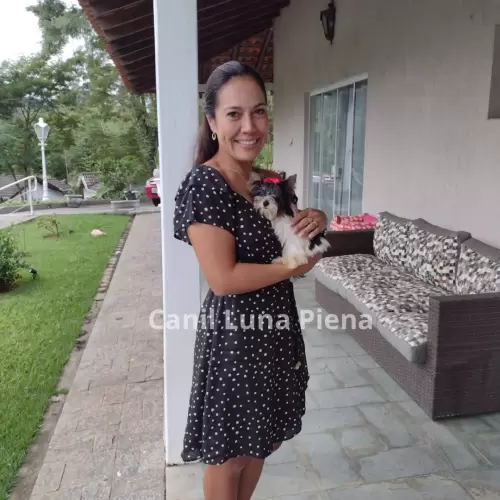 Clientes Felizes