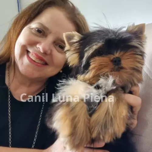 Clientes Felizes