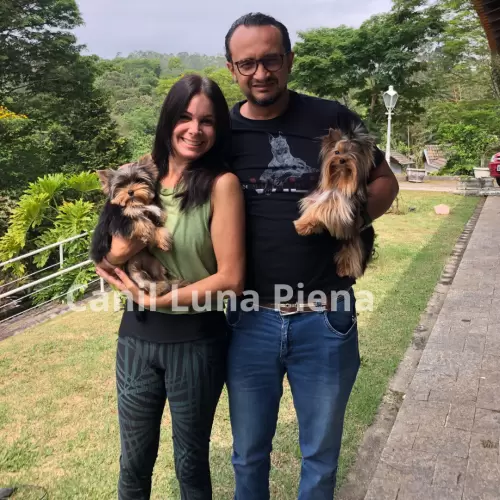 Clientes Felizes
