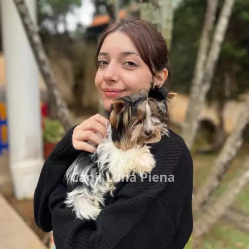 Clientes Felizes