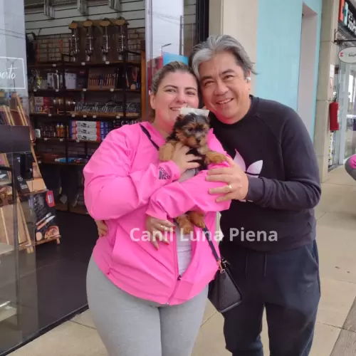 Clientes Felizes