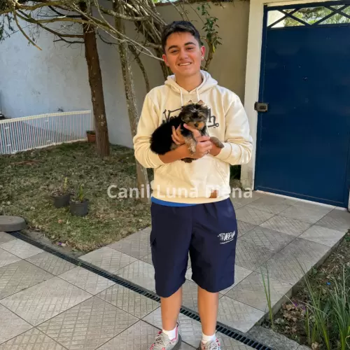 Clientes Felizes