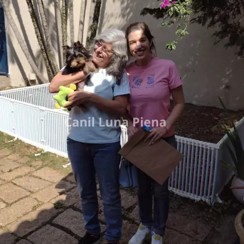 Clientes Felizes