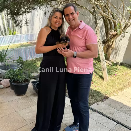 Clientes Felizes