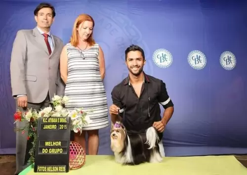 Exposições