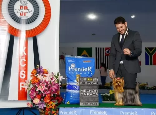 Exposições