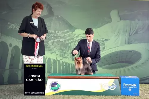 Exposições
