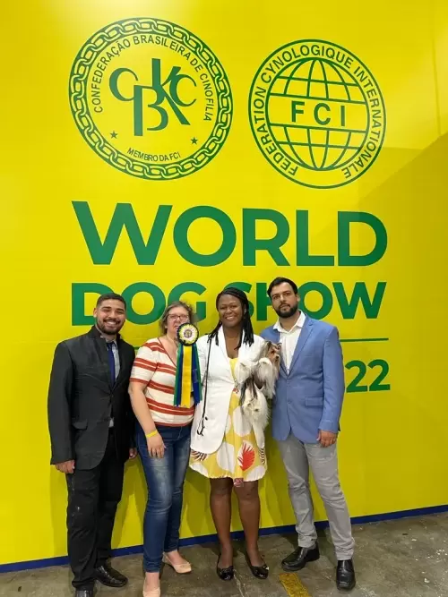 Exposições