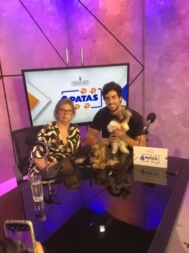 Mídias