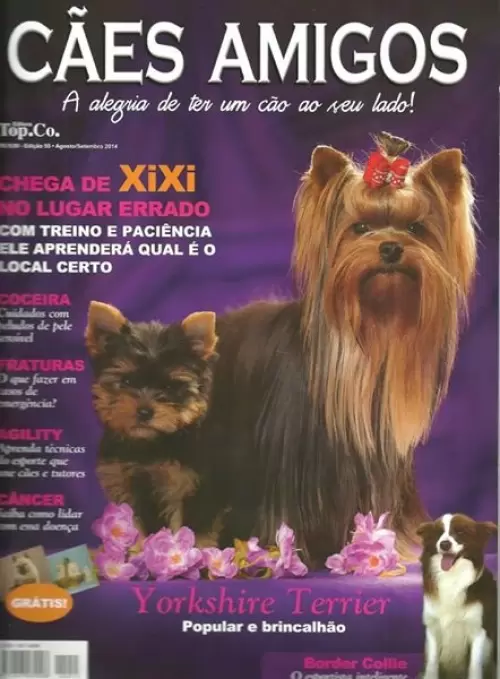 Revistas