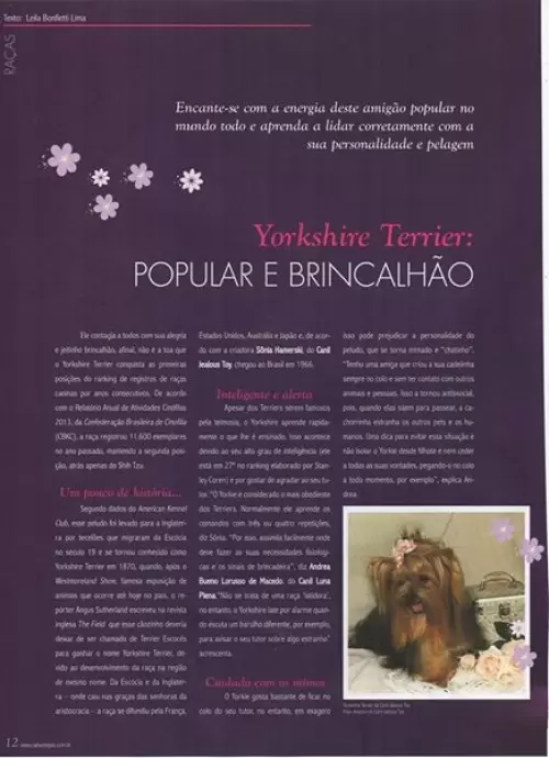 Revistas