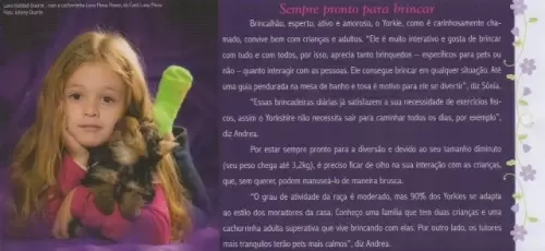 Revistas