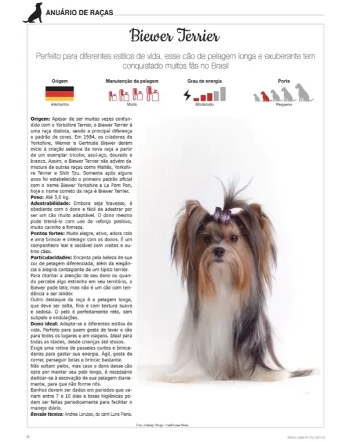 Revistas