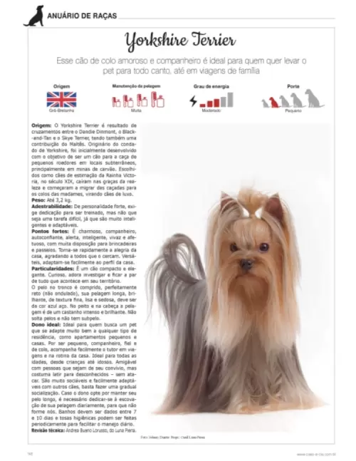 Revistas