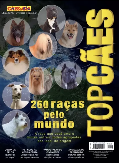 Revistas