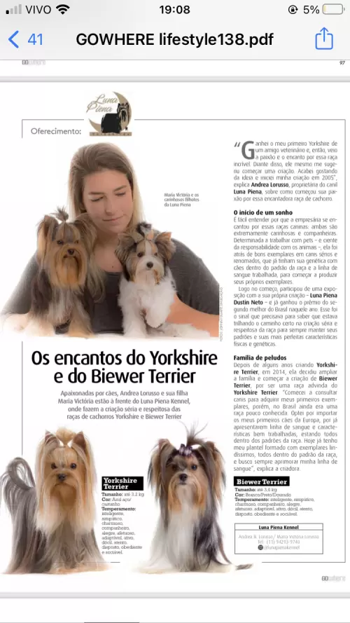 Revistas