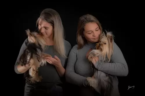 Adultos