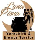 Canil Luna Piena